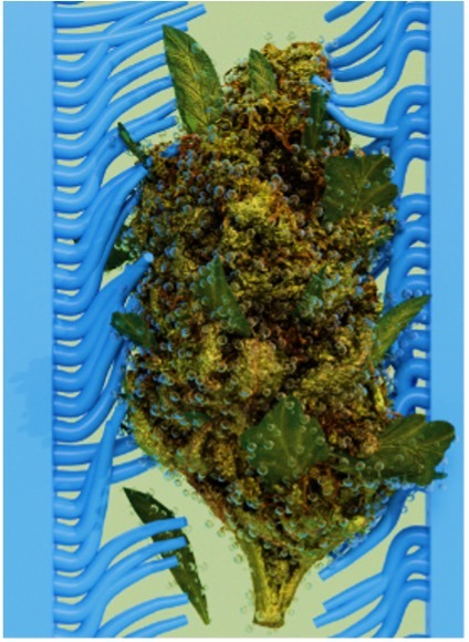 Cannabis trimming- Softrim fingers