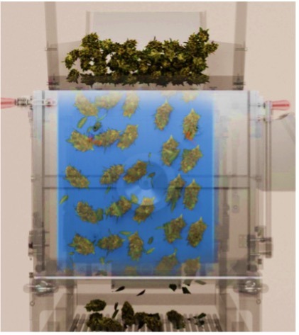 Cannabis trimming- Softrim