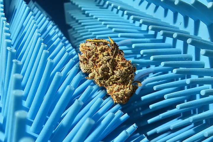 cannabis trimming machine - Softrim Outdoor Fingers