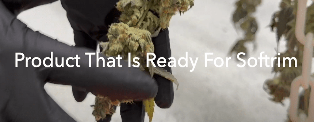 Automatic Bud Trimmer- Product that is Ready for Softrim