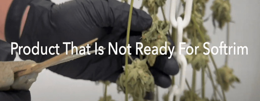 Automatic Bud Trimmer- Product that is not ready for Softrim