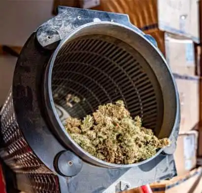 Conventional cannabis tumbler