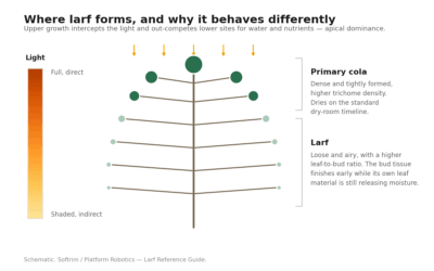 - larf lower canopy diagram Understanding Larf